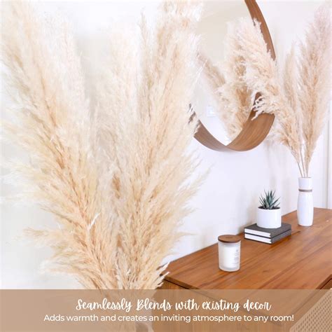 31Mod Pampas Grass Large With Tall Stems3 Stems Large Pampas Grass 48