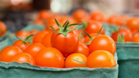 13 Best Tasting Cherry Tomatoes To Grow In Your Garden