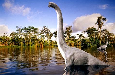 Diplodocus Fotos Hechos Y Historia Dinosaurios