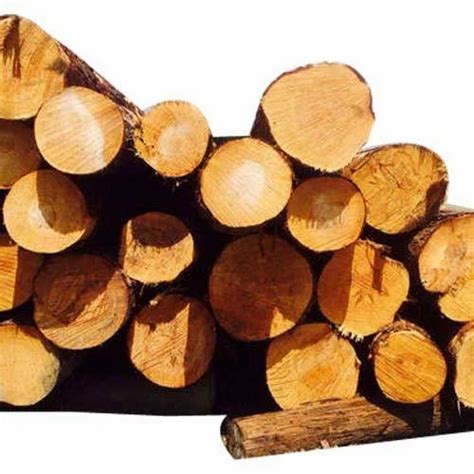 brown pine log   price  sas nagar id