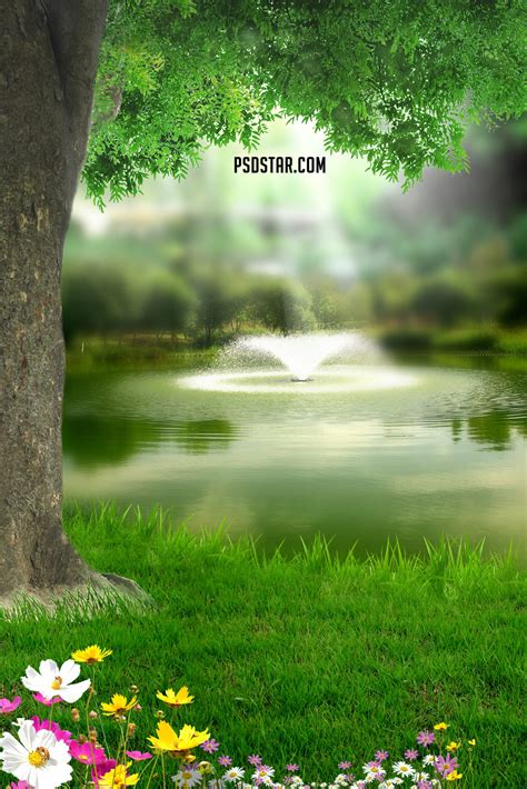 Natural Portrait Background With Tree Hd Scaled