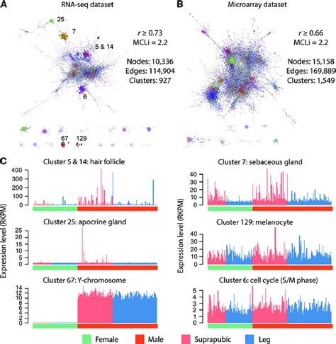 Network Analysis Of The Rna Seq And Microarray Datasets The Ids For