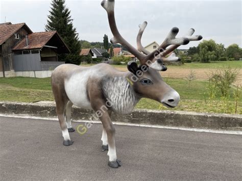 Rentier F R Weihnachten Weihnachtsrentier Deko Rentier Lebensgross