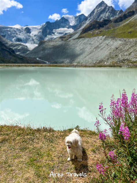 Best Things To Do In Grimentz Moiry Glacier Switzerland Arzo Travels