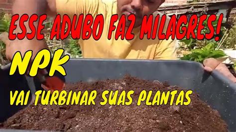 O MELHOR ADUBO PARA AS PLANTAS A Melhor Mistura Para As Suas Plantas