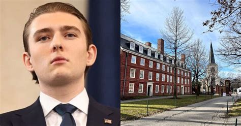 Barron Trump Rejected by Harvard? Internet Buzzes After SEVP Shake-Up