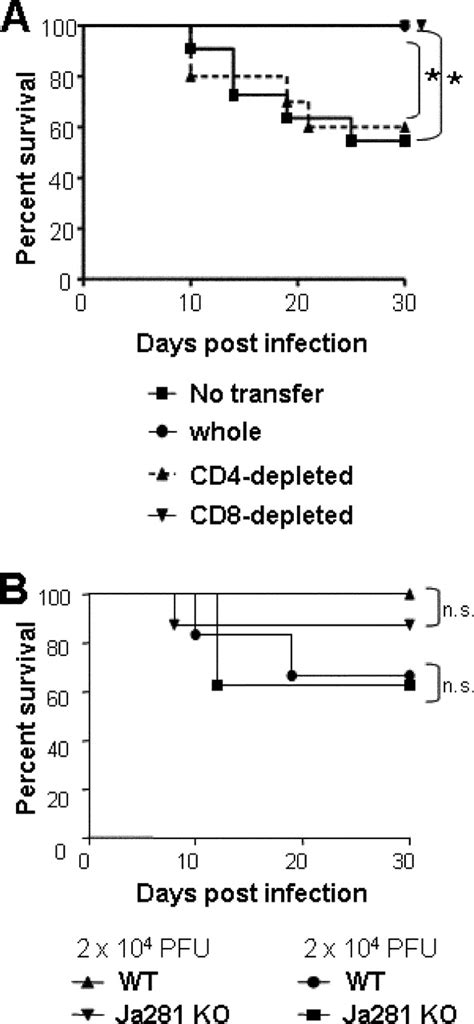 Protective Role Of Fas Fasl Signaling In Lethal Infection With Herpes