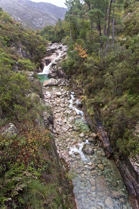 Geres National Park Stock Photo Image Of Paradise Green