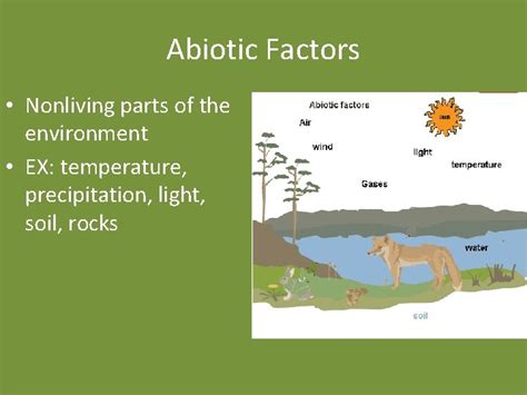 Biosphere Unit Biosphere All Living Things Living Things