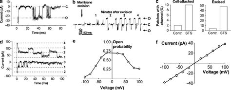 Electrophysiological Properties Of A Large Conductance Channel In The