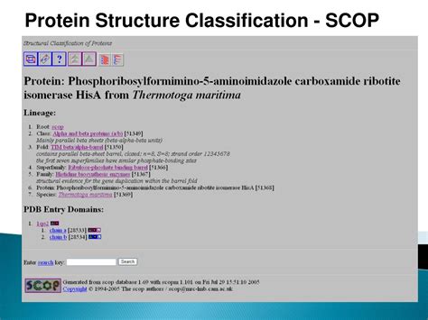 Ppt Protein Structure Classification Prediction And Proteomics