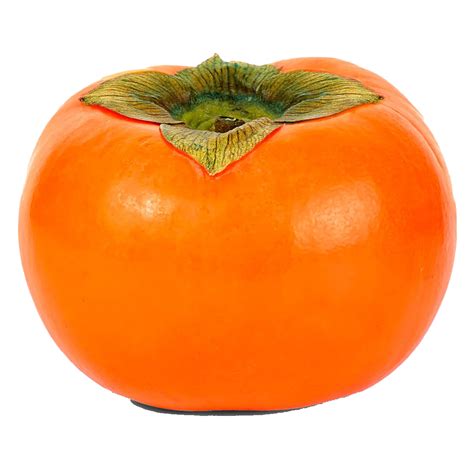 Persimmon PNG