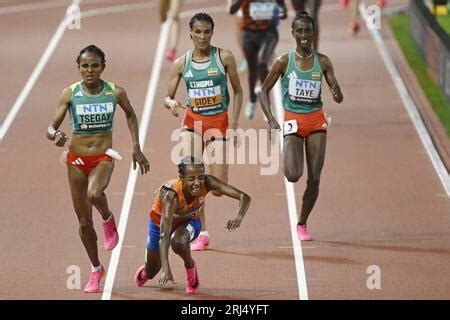 Budapest Sifan Hassan Falls In The Final On The Meters During