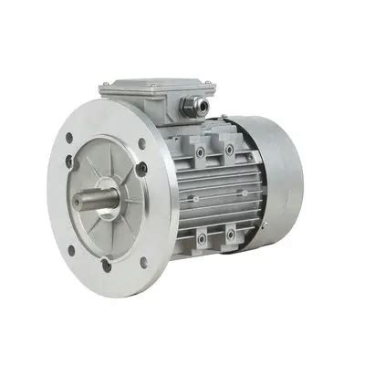 Motor asíncrono trifásico AC380V1400rpm B5 brida redonda vertical