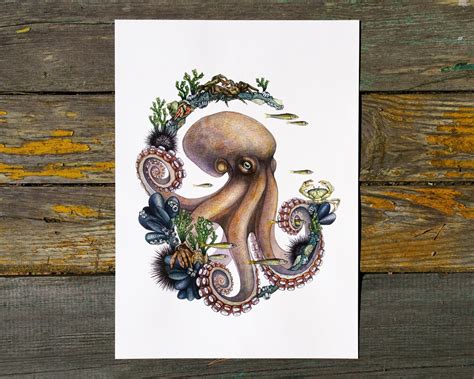 Animal Portrait Octopus Poster Octopus Wall Art Beach House - Etsy