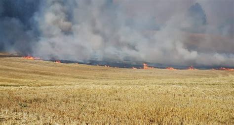 Onemi Declara Alerta Roja Por Incendio Forestal En Osorno Ya Son 300