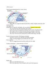 Understanding Global Wind Belts And The Coriolis Effect A Course Hero