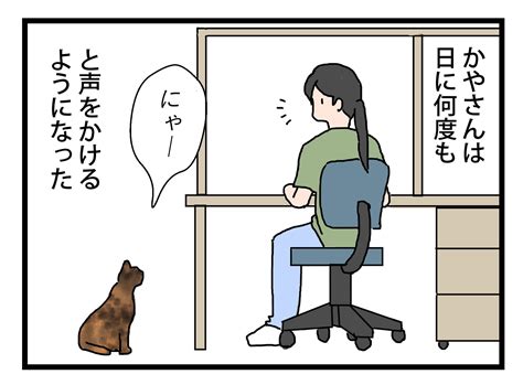 にゃー 保護猫かやさん～凛々しいサビ猫様と私～