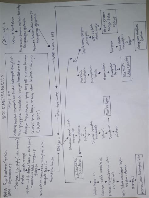 Woc Diabetes Melitus Tipe 2 Pdf