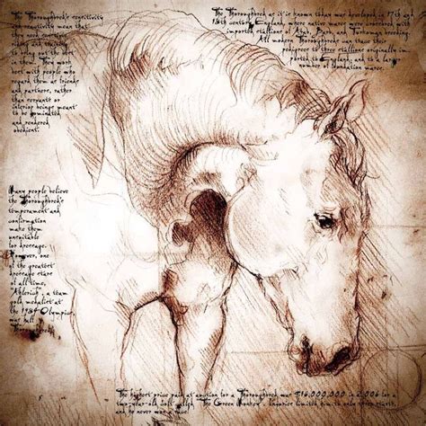 Leonardo Da Vinci Horse Drawings - Drawing Word Searches