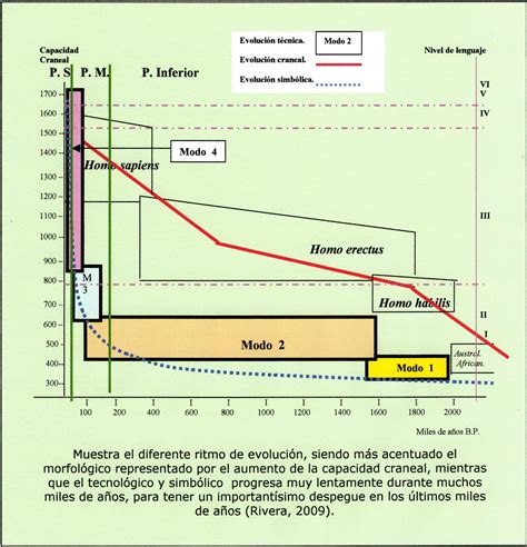 Psicobiología Del Género Homo Evolución Y Capacidades Cognitivas