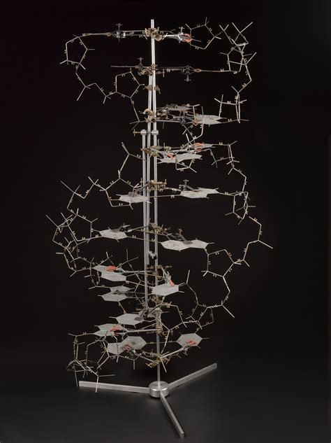 Jim Watson: From the Double Helix to Cancer Drugs and the Pope | Science Museum Blog