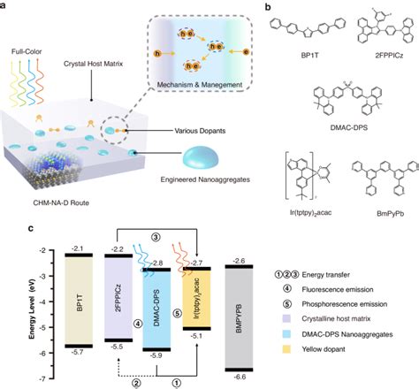 High Efficiency Crystalline White Organic Light Emitting Diodes Light