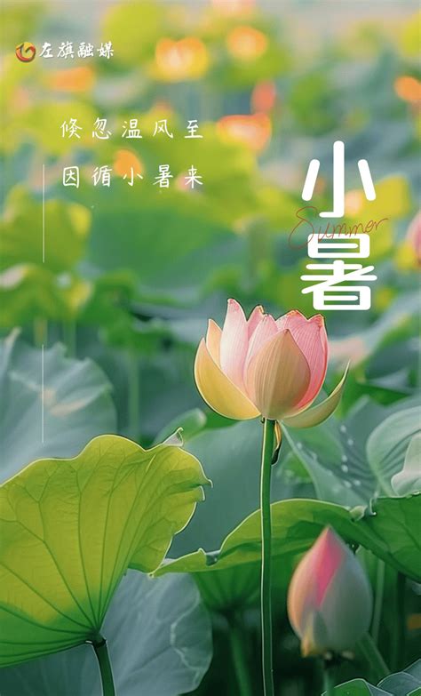 节气里的大美中国·今日小暑 小暑至 盛夏始时节巴林左旗食用