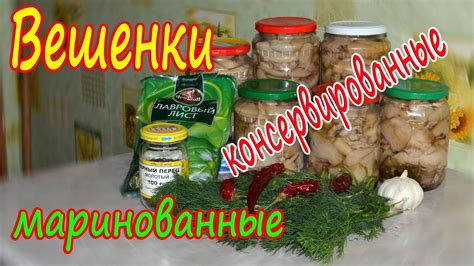 Вешенки консервированные, маринованные. - YouTube