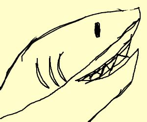 Shark with braces - Drawception