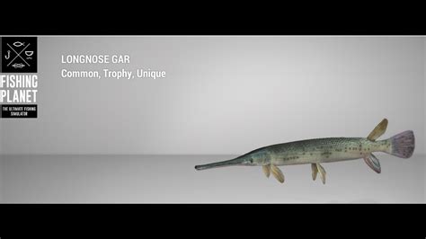 Fishing Planet Neherrin River Unique Longnose Gar Float YouTube