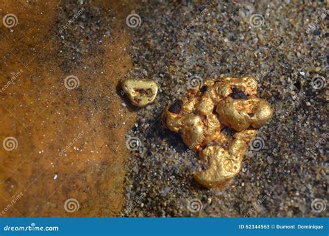 Gold nugget stock image. Image of precious, sand, nuggets - 62344563