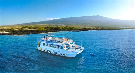 Whale Whatching Cruise From Kailua Kona 25 Hours 125