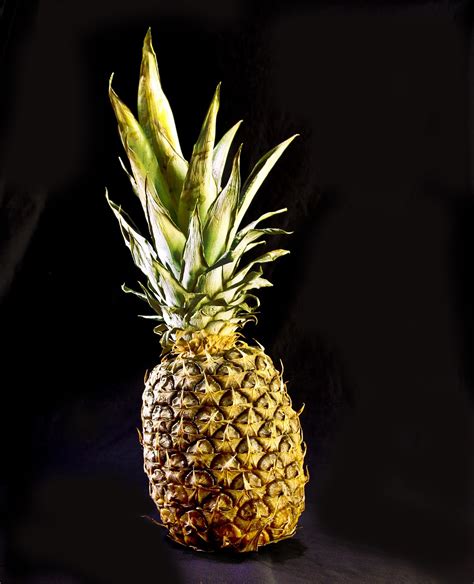 Ananas Owoc Owoce Tropikalne Darmowe Zdj Cie Na Pixabay Pixabay