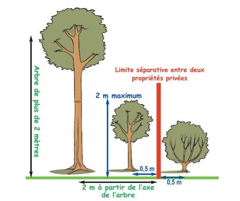 Règles applicables à l entretien des haies et des arbres Commune de