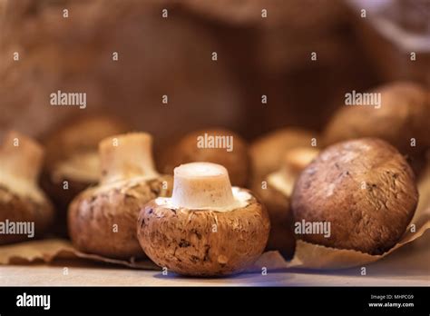 Whole Mushrooms Hi Res Stock Photography And Images Alamy