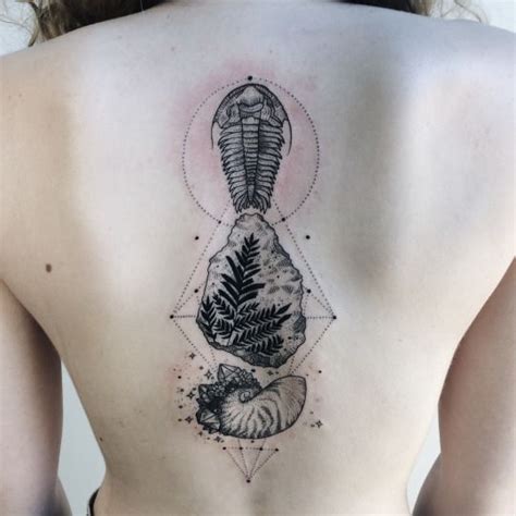 Nautilus Shell Prehistoric Tattoo Art Ancient Ammonite In The Triangle