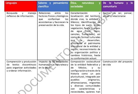 Programa Analitico De Los Contenidos Y Procesos De Desarrollo De