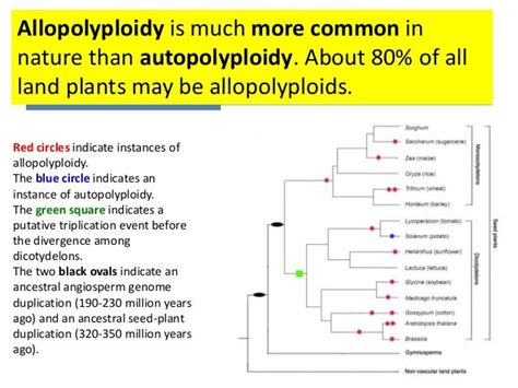 Allopolyploid