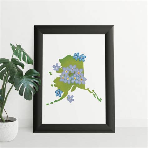 Alaska State Flower Forget Me Not, Digital Download, USA Geography and ...