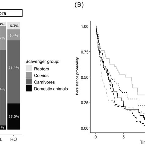 Linear Infrastructure Effect On A The Proportion Of Scavenging Events Download Scientific