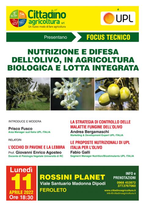 Nutrizione E Difesa Dellolivo In Agricoltura Biologica E Lotta