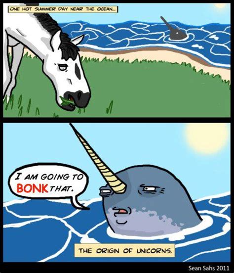 Narwhals - Meme by Alicia_monster :) Memedroid