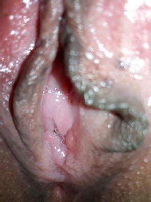 Adult Anthology Vol Lily Adams Porn Pic