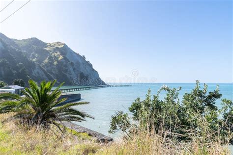 Old Tokomaru Bay wharf stock image. Image of east, water - 241873377