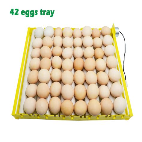 Roller Rotating Automatic Egg Incubator Eggs Turner Tray