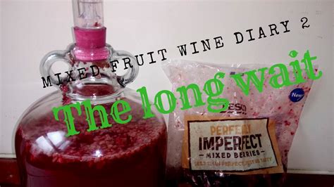 Mixed Berry Fruit Wine Diary 2 The Long Wait Youtube