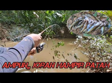 Spot Mancing Baru Sekali Lempar Langsung Disambar Joran Hampir Patah