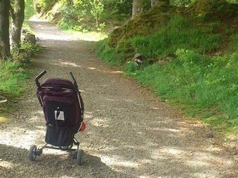 Lewis Castle Grounds Woodland Trust