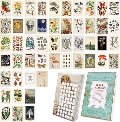 Pcs Botanical Wall Collage Kit Vintage Aestheic Room Decor Art